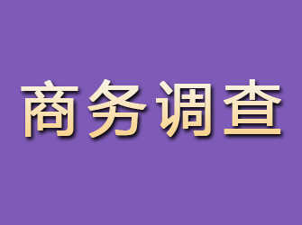 茂县商务调查